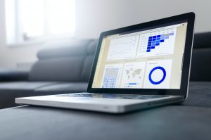 graphs in a laptop on demographics of audience